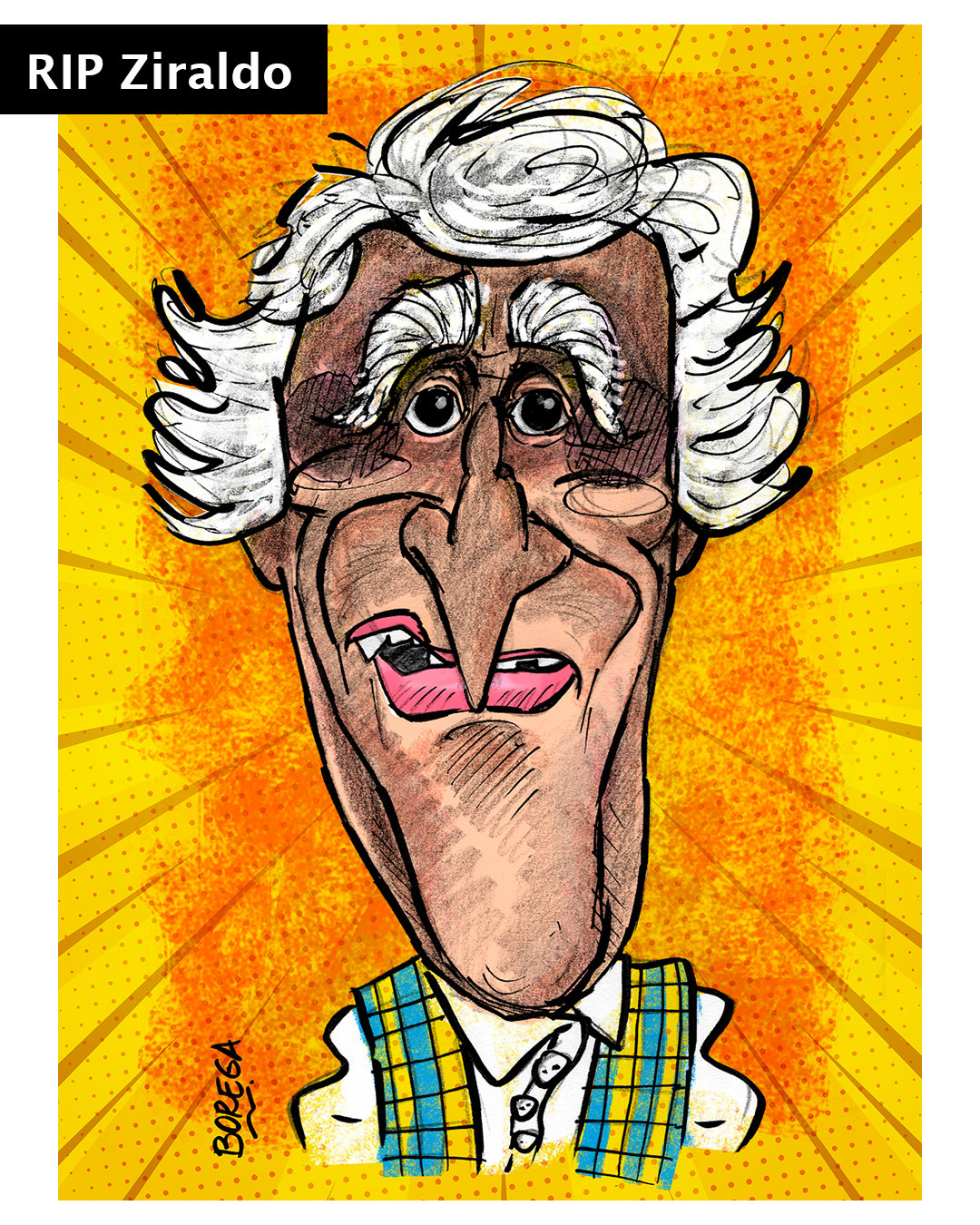 Homenagem de nosso cartunista Borega a Ziraldo