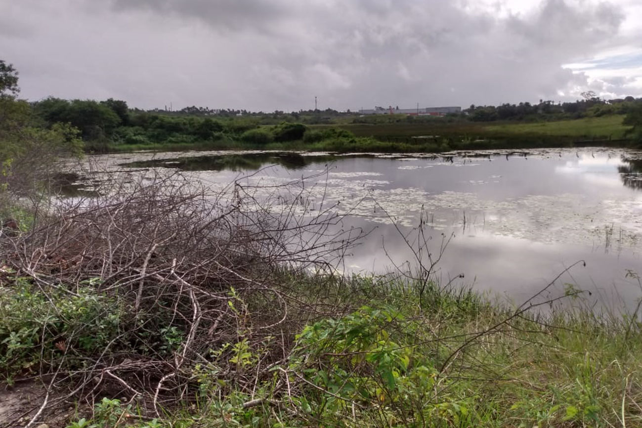 Prefeitura de Feira inicia revitalização da lagoa Antônio Dias, no Limoeiro