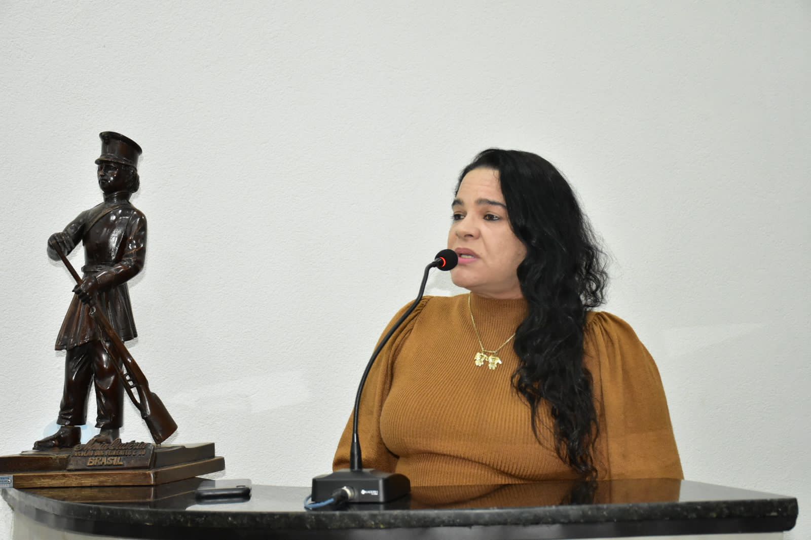Morte por mal súbito no Ceaf: lei exige desfibrilador em locais que recebem mais de 2 mil pessoas, informa vereadora