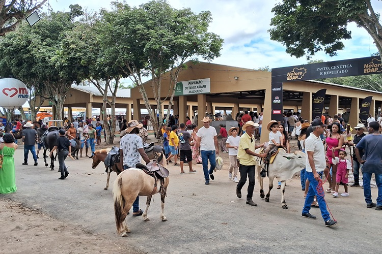 Pesquisa revela que Expofeira 2025 foi considerada ótima por 65% dos visitantes