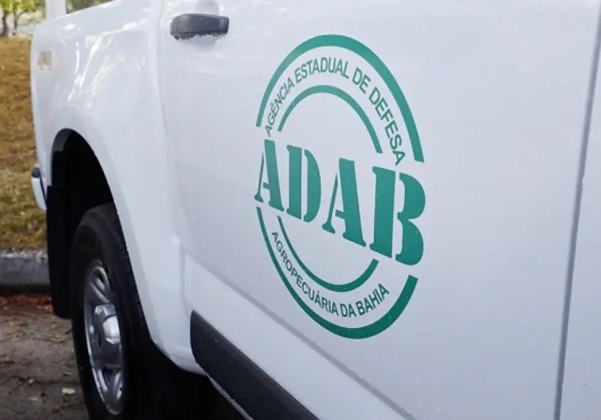 Governo da Bahia lança edital de concurso da Adab com 200 vagas e salários de até R$ 7,4 mil