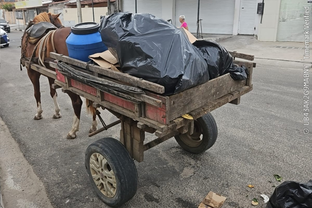 Sesp multa empresa de Feira de Santana por descarte irregular de resíduos sólidos