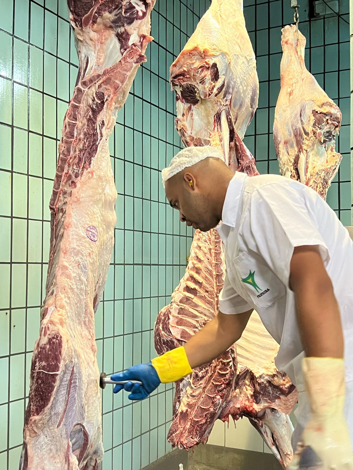 Arroba do boi gordo se mantém em R$ 350 e acumula alta de quase 13% em 2026