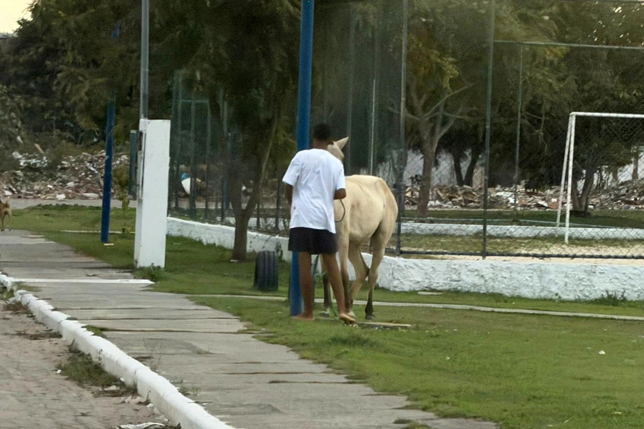 Vigilância Zoonótica de Feira de Santana reforça orientação a donos de cavalos na Lagoa Grande