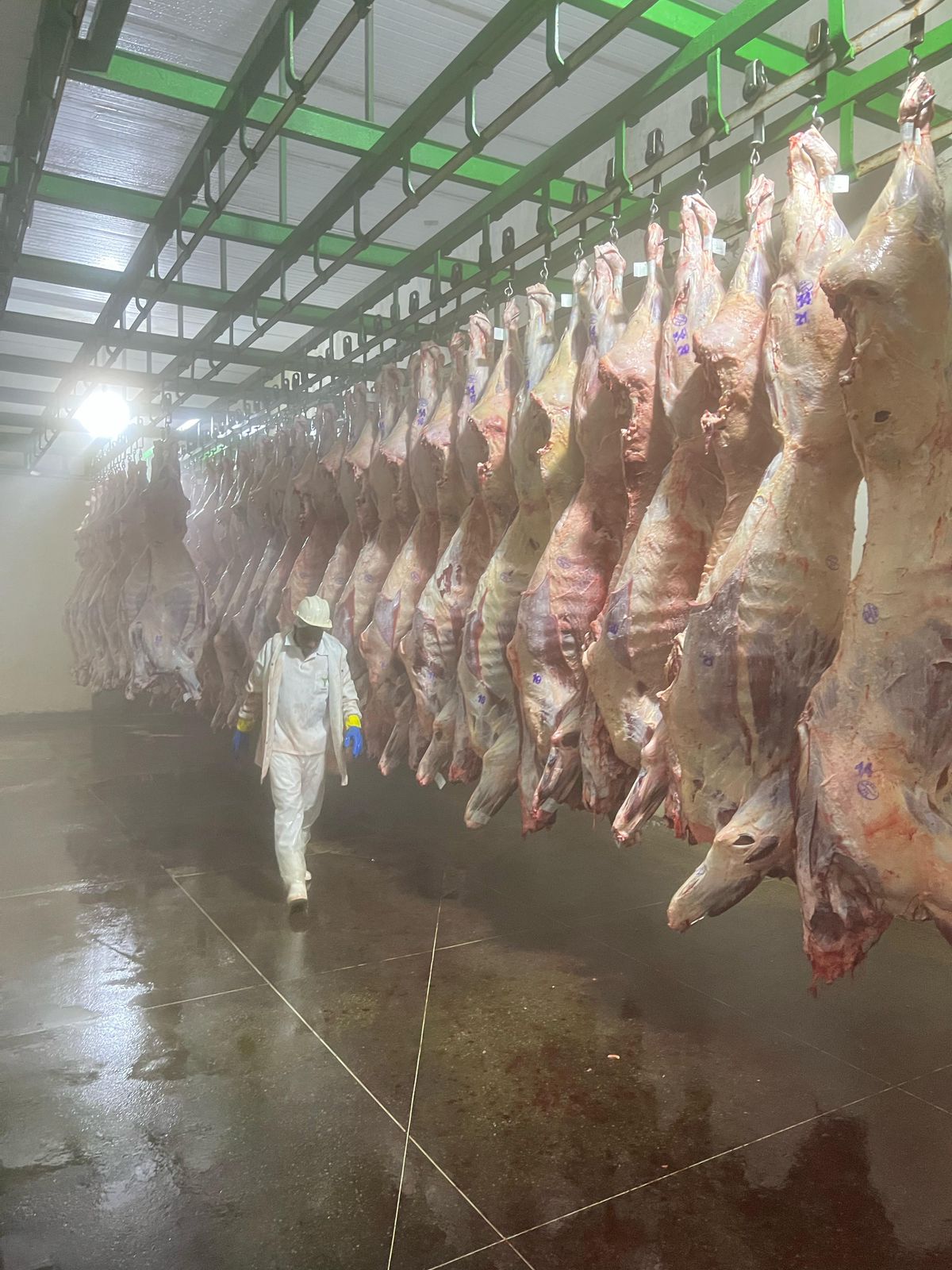 Arroba do boi cai para R$ 330, na região de Feira de Santana, e mercado entra em fase de ajuste