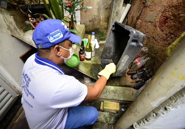 Seis cidades da Bahia enfrentam epidemia de dengue; estado registra queda de casos em 2026
