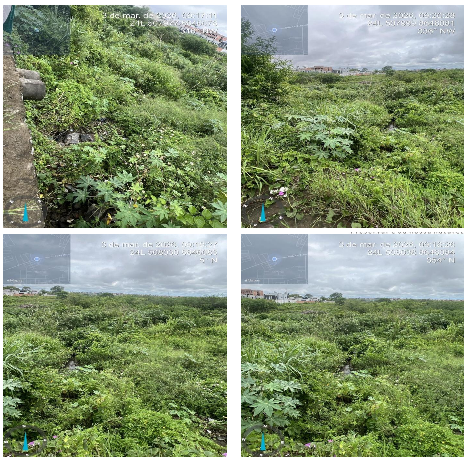 Contraponto a Valdomiro Silva e Glauco Wanderley sobre a polêmica compensação ambiental no SIM