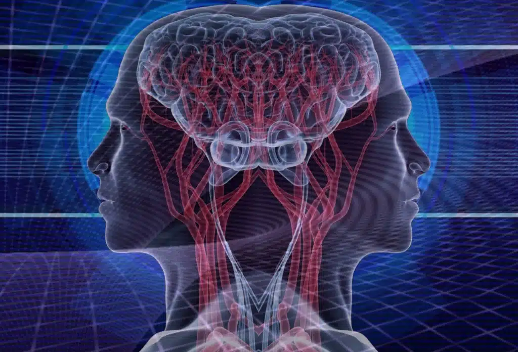 Dissonância cognitiva, ad hominem e o abismo da desqualificação política